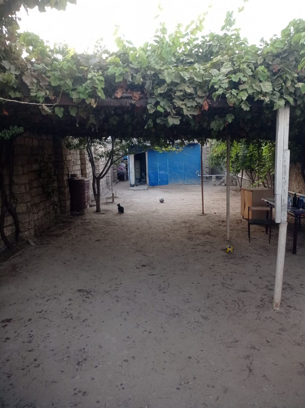 1-room house for sale in Binə, 3 m², 48 000 AZN, photo 4 / 12