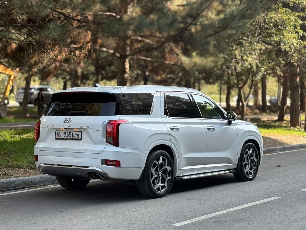 Hyundai Palisade: 2020 г., 2.2 л, Автомат, Дизель: фото 5