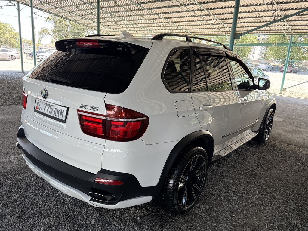 BMW X5: 2009 г., 3 л, Автомат, Бензин, Кроссовер: фото 5