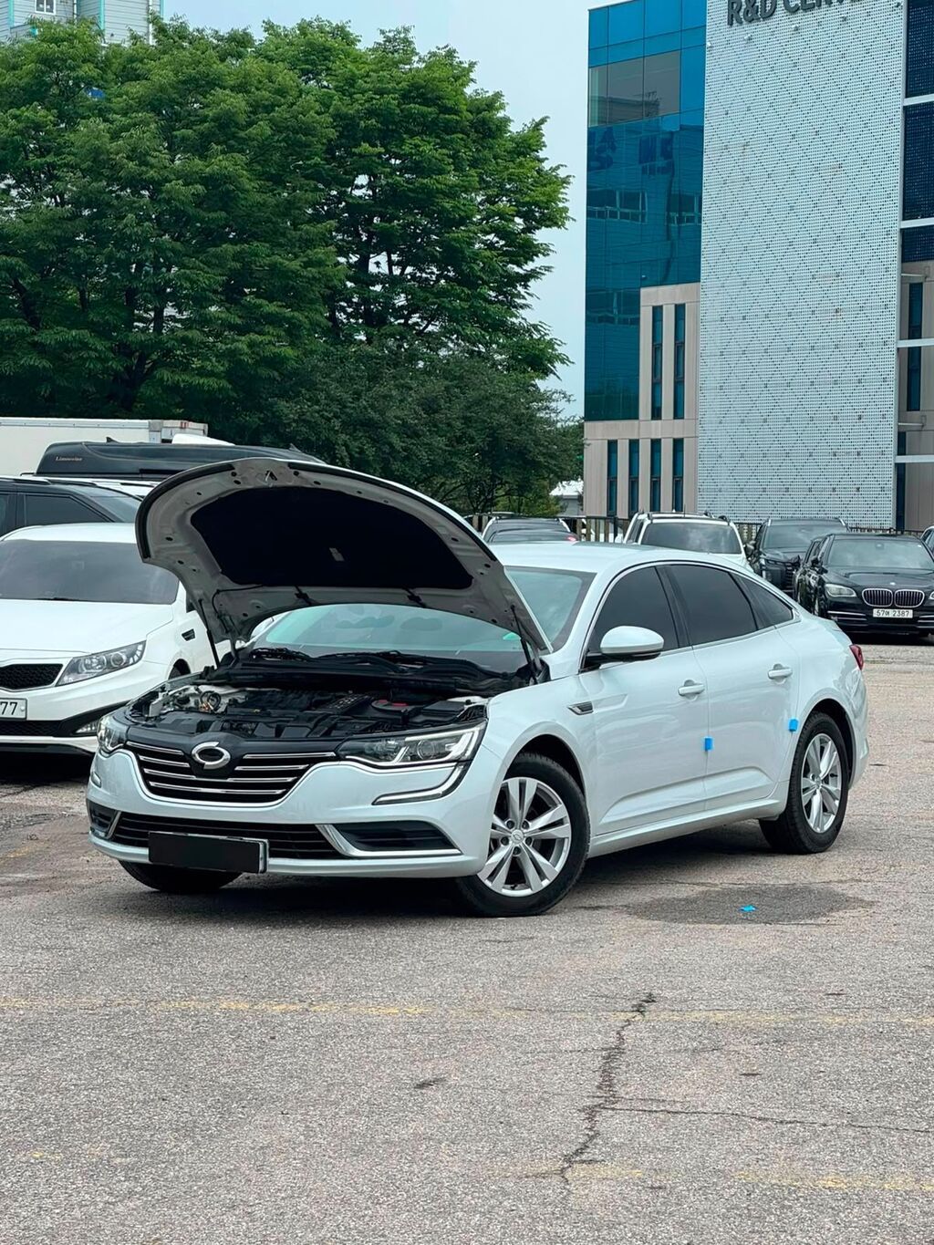 Renault Samsung SM6: 2019 г., 2 л, Автомат, Газ, Седан: фото 6