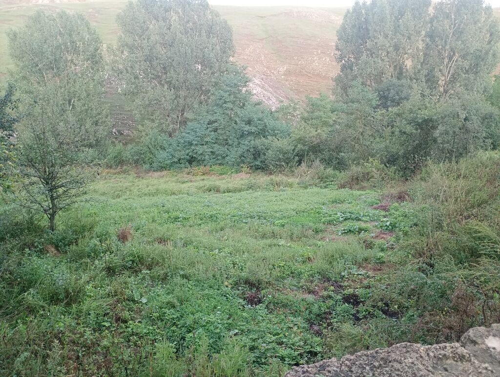 Gədəbəy, 120 kv. m, 4 otaqlı, Hovuzsuz, Qaz, Su, Kanalizasiya