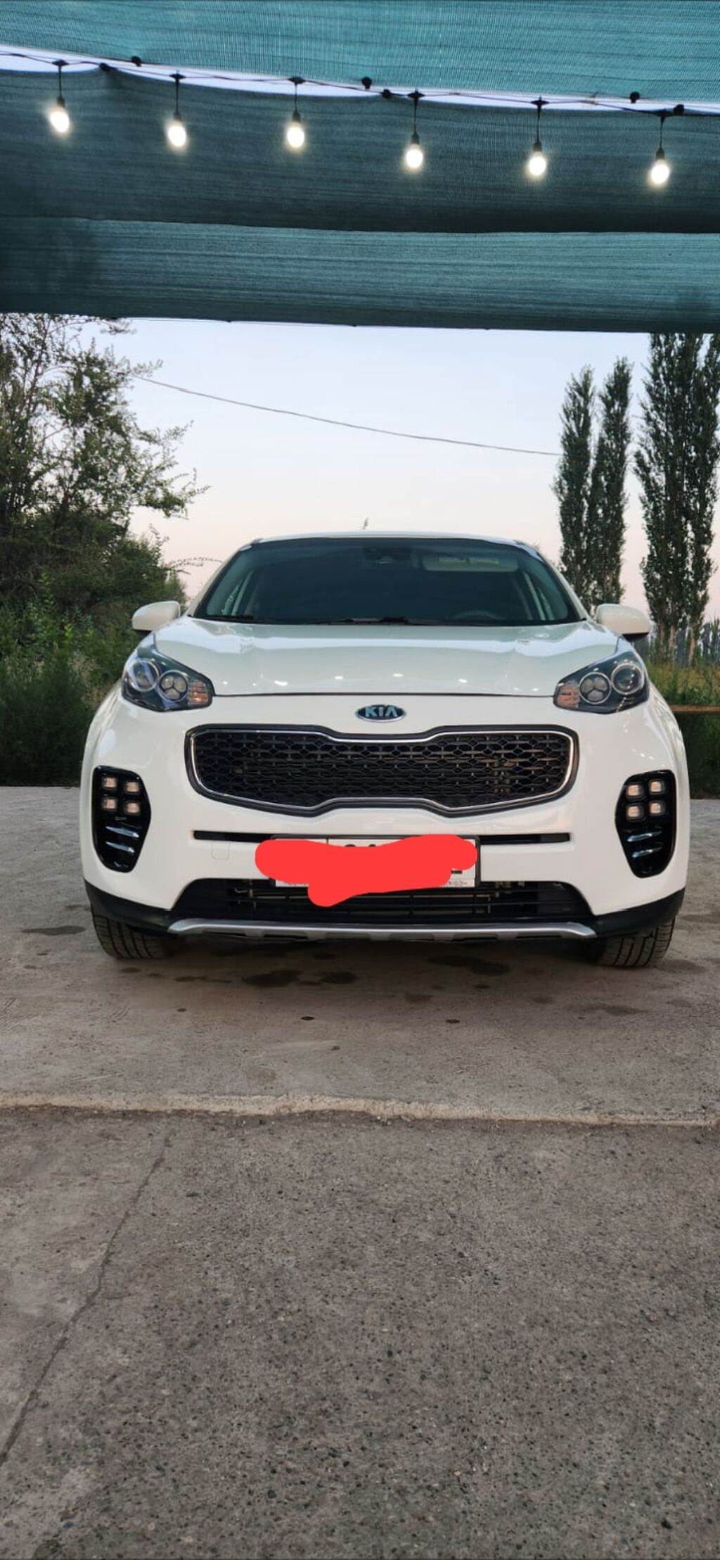 Kia Sportage: 2020 г., 2.4 л, Автомат, Бензин, Кроссовер: фото 1