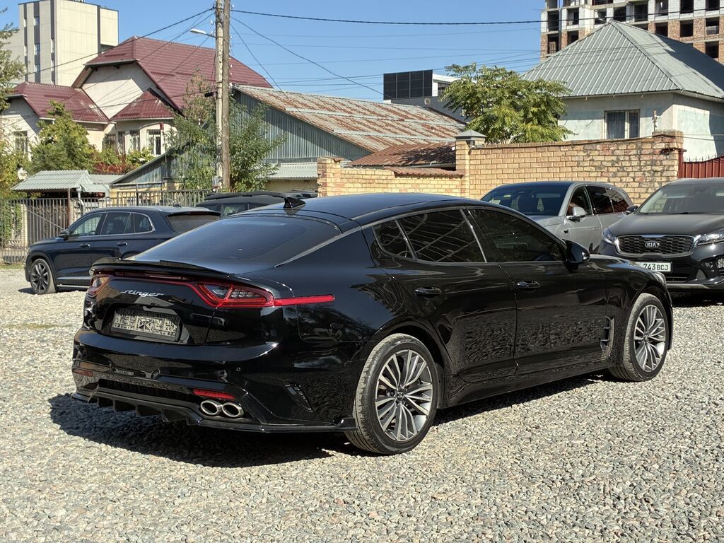 Kia Stinger: 2018 г., 2.2 л, Автомат, Дизель, Лифтбек: фото 8