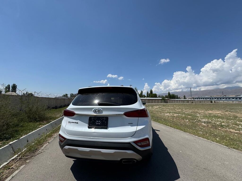 Hyundai Santa Fe: 2019 г., 2.4 л, Автомат, Бензин, Кроссовер: фото 2