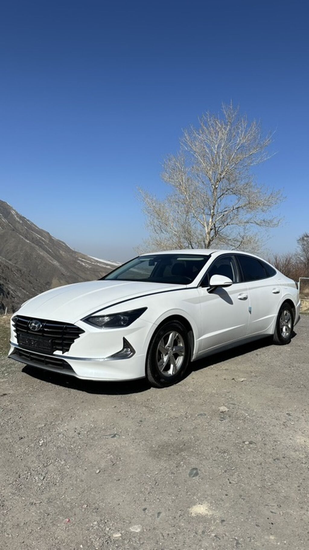 Hyundai Sonata: 2019 г., 2 л, Автомат, Газ, Седан: фото 3