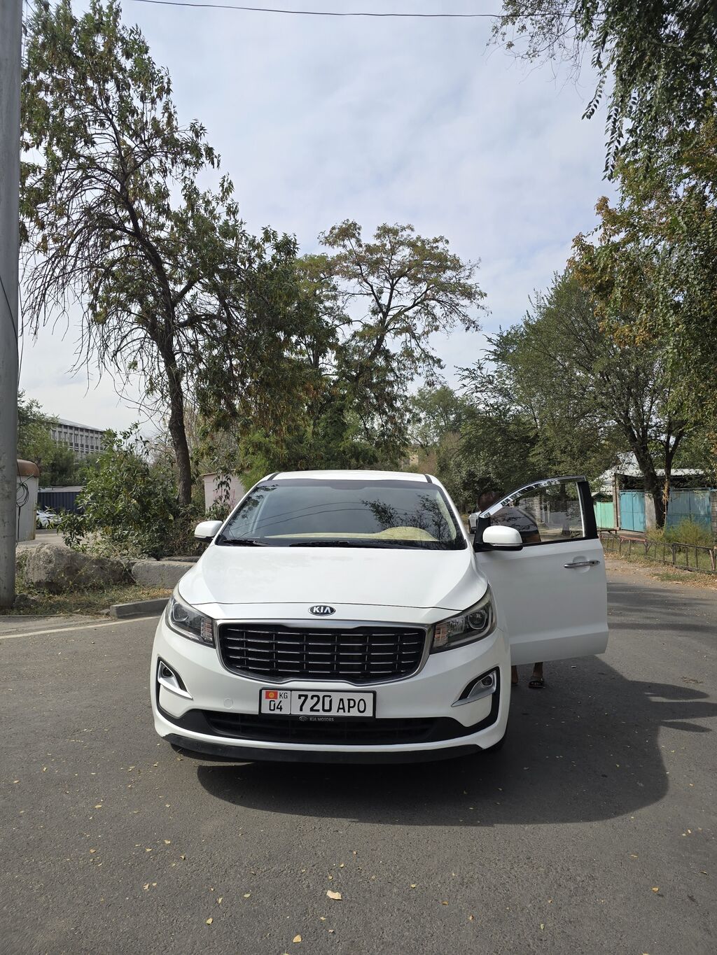Kia Carnival: 2018 г., 2.2 л, Автомат, Дизель: фото 3