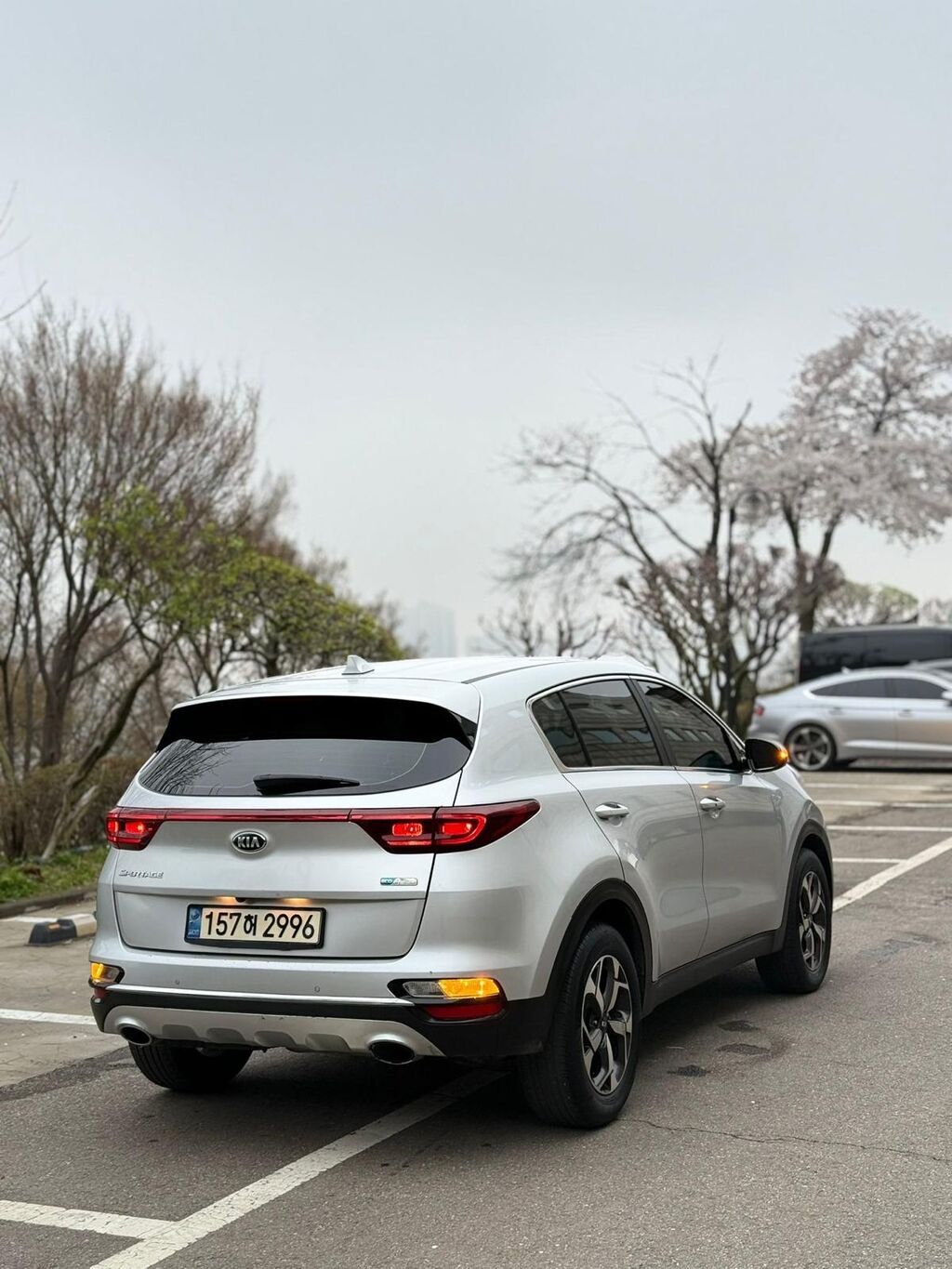 Kia Sportage: 2019 г., 1.6 л, Автомат, Дизель, Кроссовер: фото 5