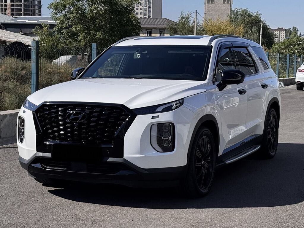 Hyundai Palisade: 2019 г., 2.2 л, Автомат, Дизель, Кроссовер: фото 1