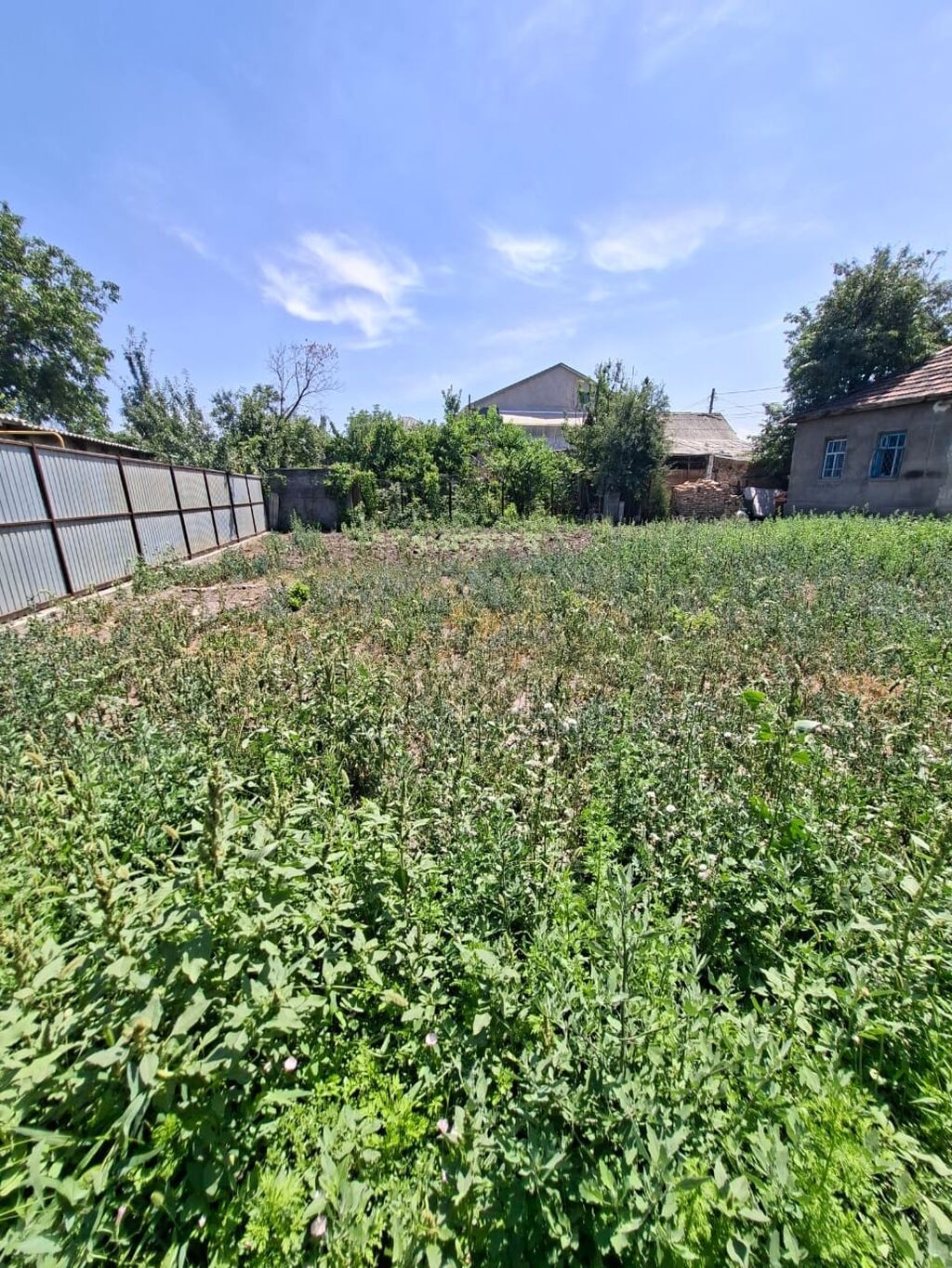 5 соток, Для строительства, Красная книга, Договор купли-продажи: фото 7