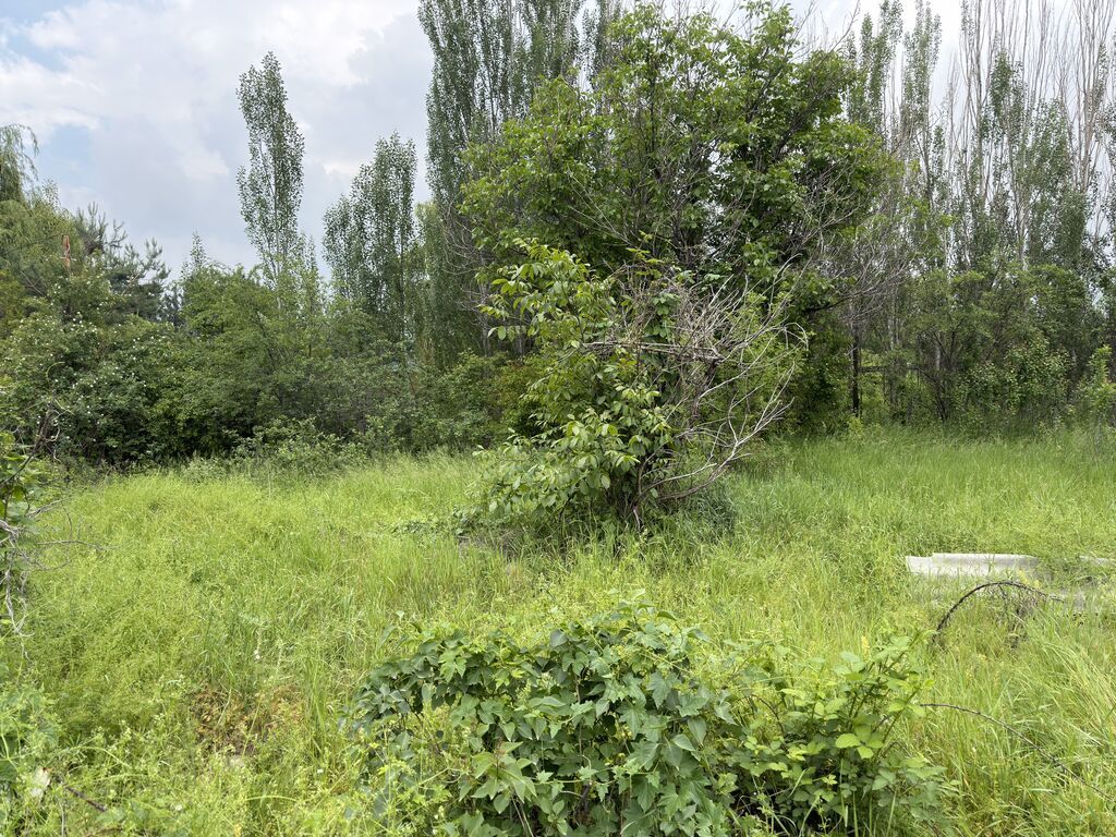 5 соток, Для строительства, Красная книга, Договор купли-продажи