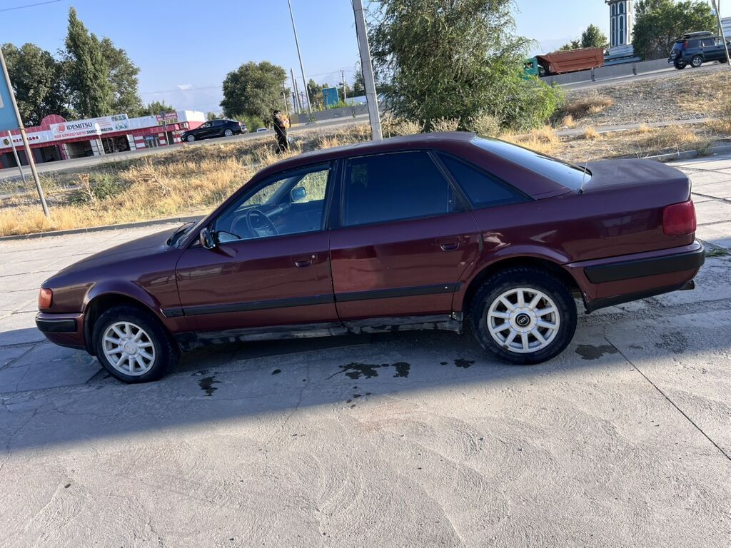 Audi 100: 1993 г., 2.8 л, Механика, Газ, Седан: фото 5