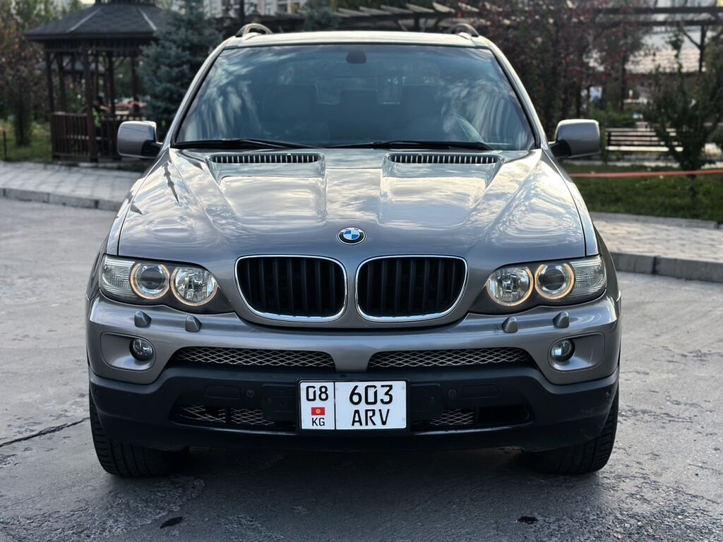 BMW X5: 2004 г., 3 л, Автомат, Бензин, Кроссовер: фото 3