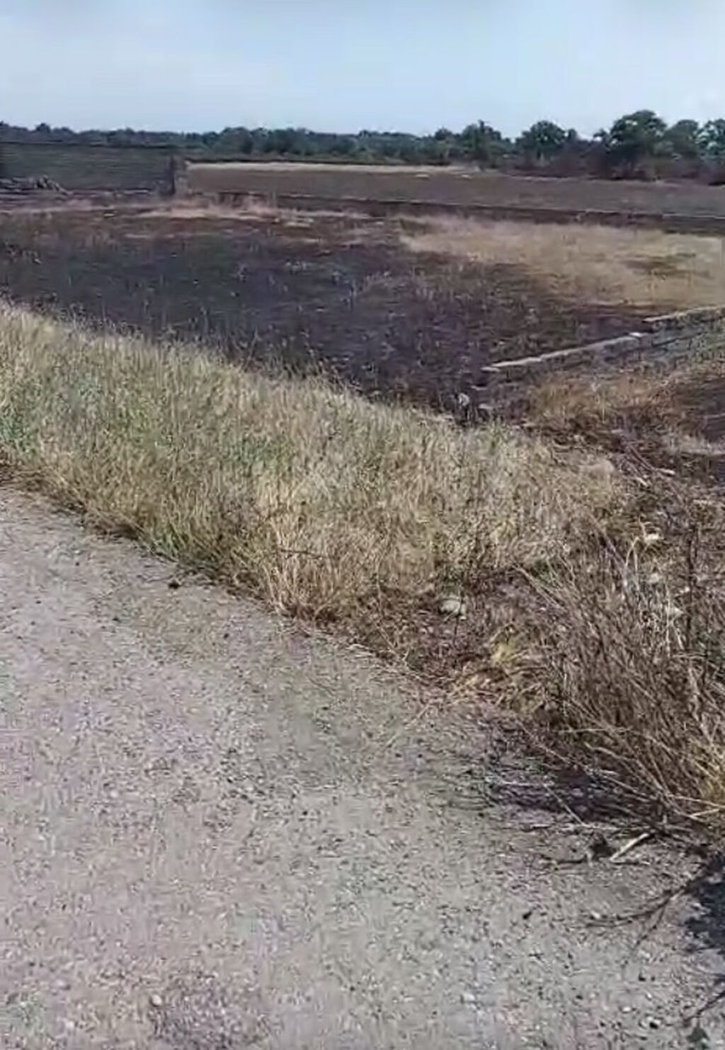 12 sot, Tikinti, Kupça (Çıxarış)