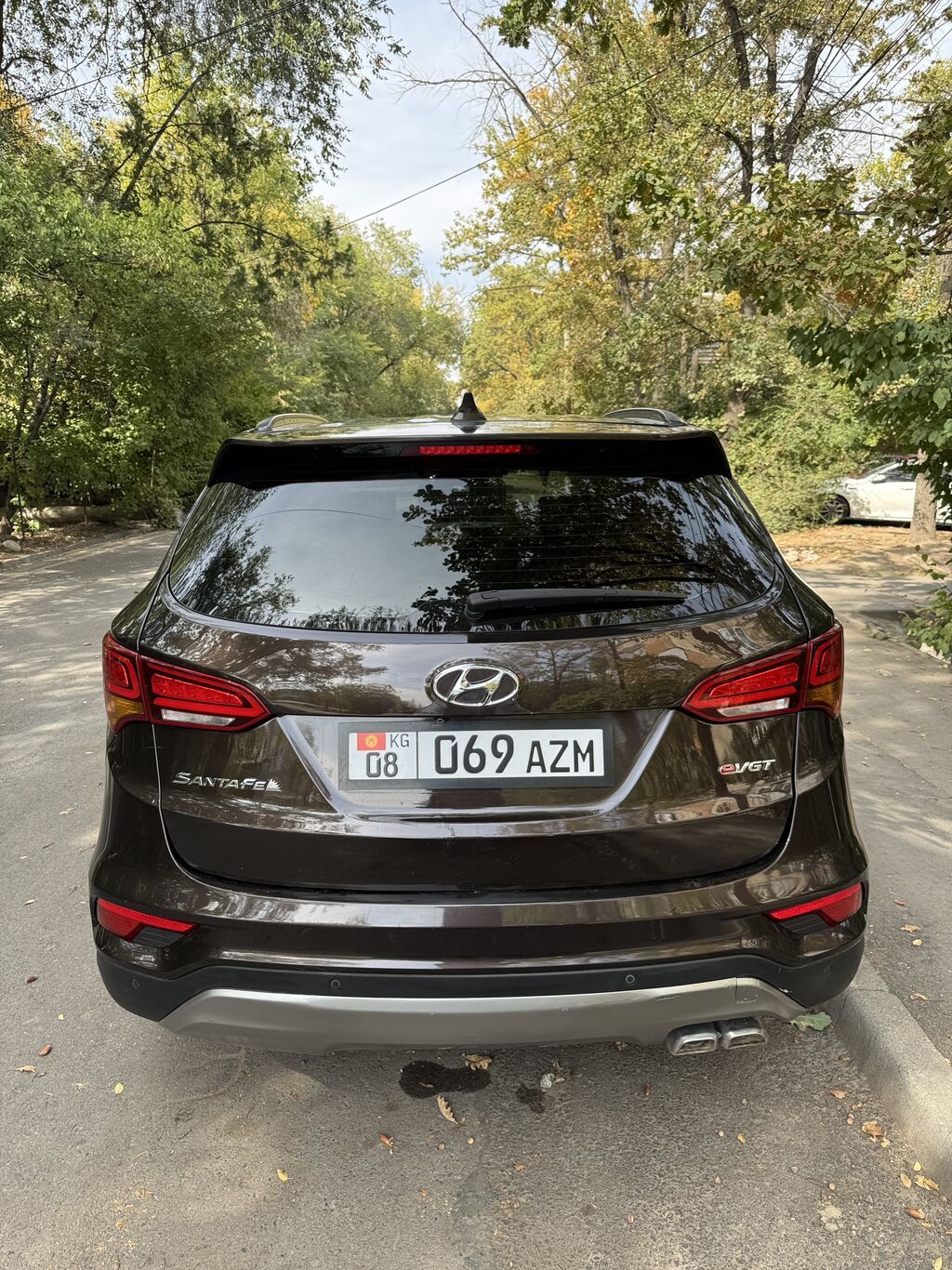 Hyundai Santa Fe: 2016 г., 2 л, Автомат, Дизель, Кроссовер: фото 5