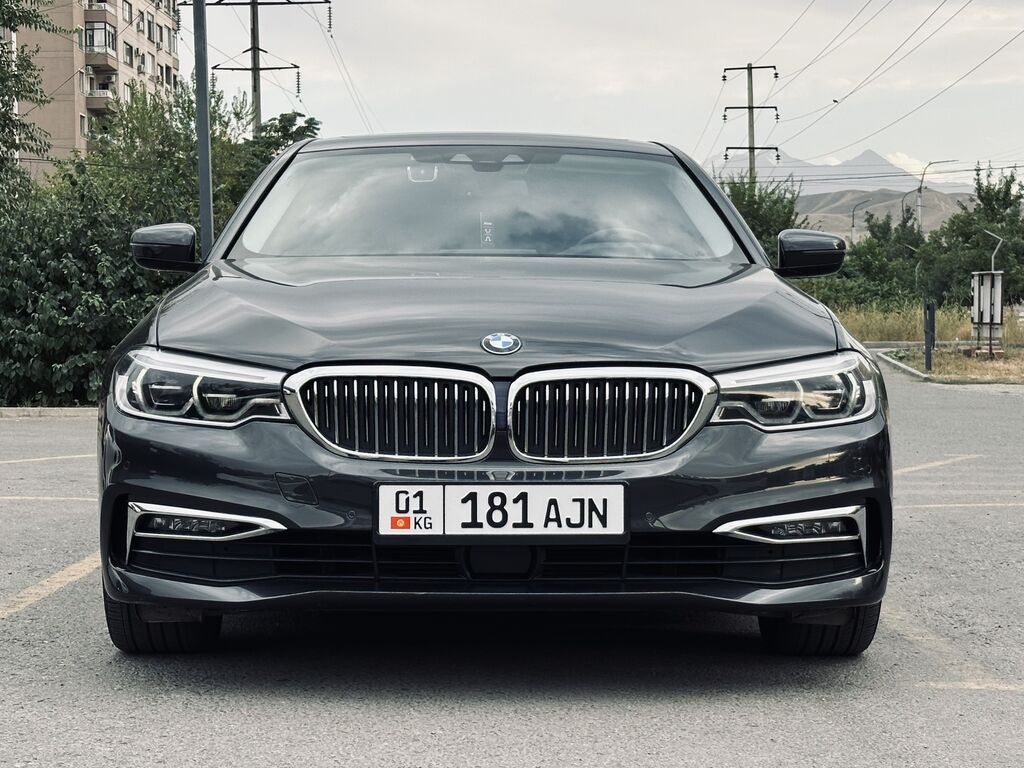 BMW 5 series: 2019 г., 2 л, Автомат, Дизель, Седан: фото 3