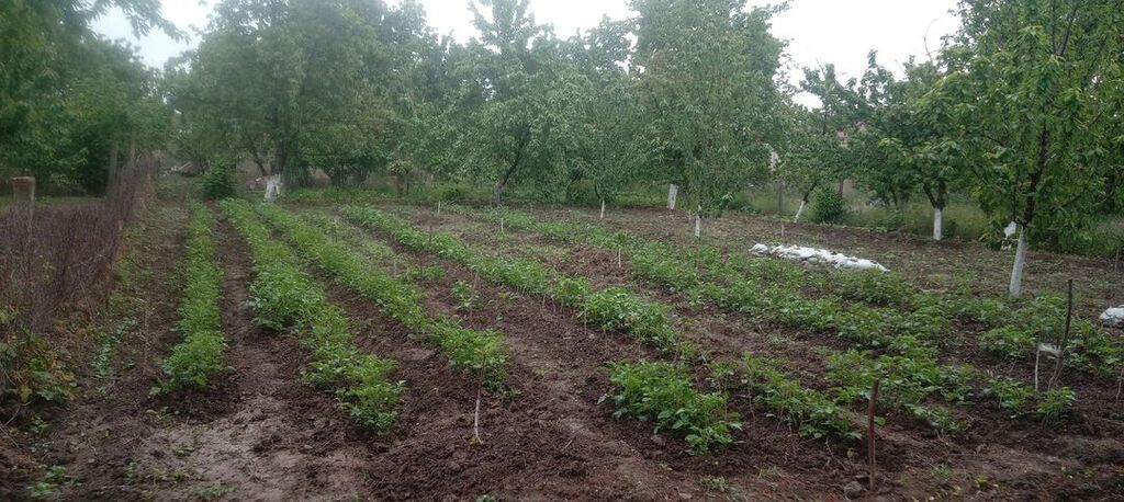 4 otaqlı, 87 kv. m, Kredit yoxdur, Təmirsiz