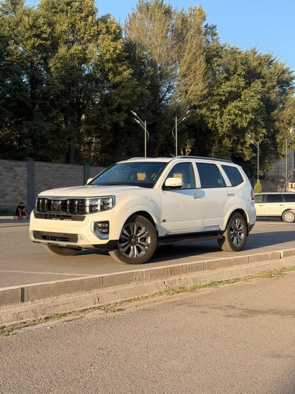 Kia Mohave: 2019 г., 3 л, Автомат, Дизель, Внедорожник: фото 3