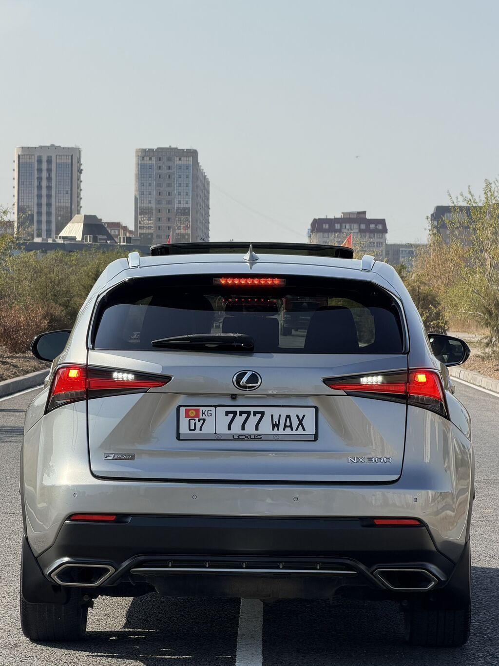 Lexus NX: 2019 г., 2 л, Автомат, Бензин, Кроссовер: фото 8