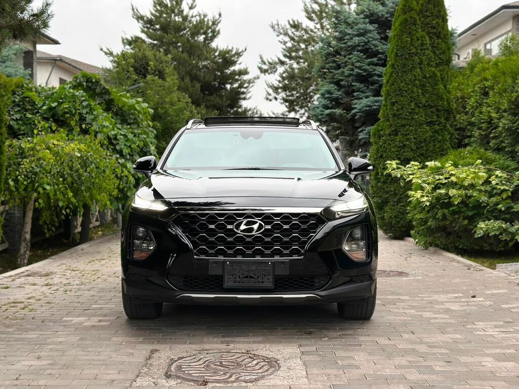 Hyundai Santa Fe: 2019 г., 2 л, Автомат, Дизель, Кроссовер: фото 4