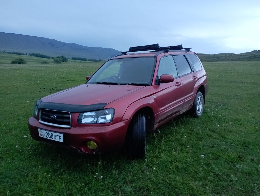 Subaru Forester: 2004 г., 2 л, Автомат, Бензин, Кроссовер: фото 2