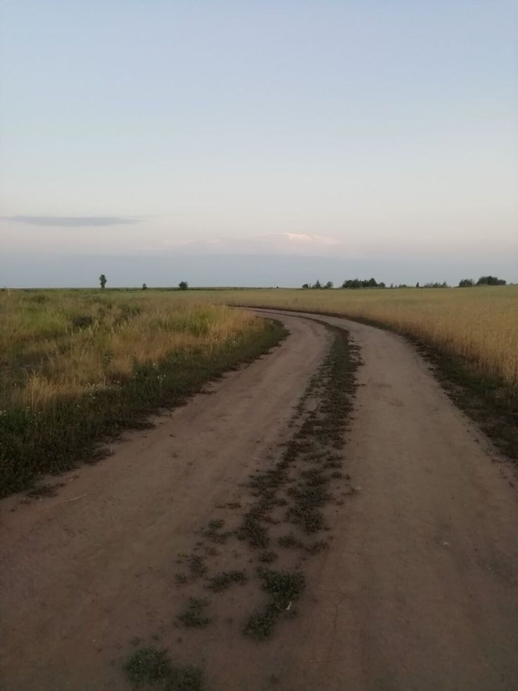 135 соток, Для сельского хозяйства, Красная книга: фото 1