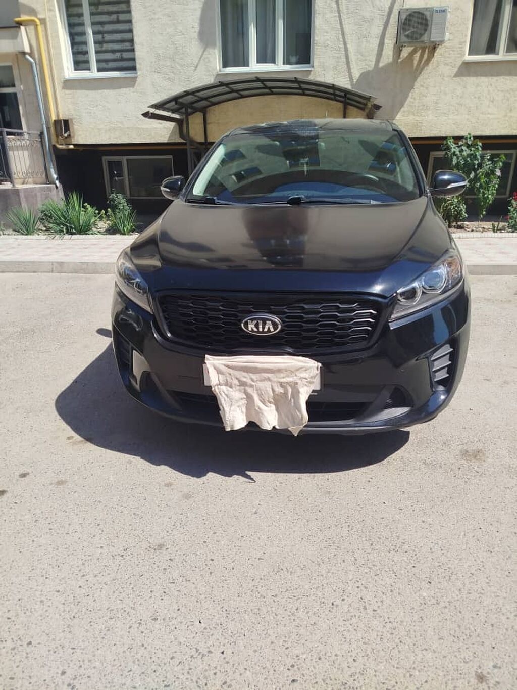 Kia Sorento: 2020 г., 2.4 л, Автомат, Бензин, Кроссовер: фото 6