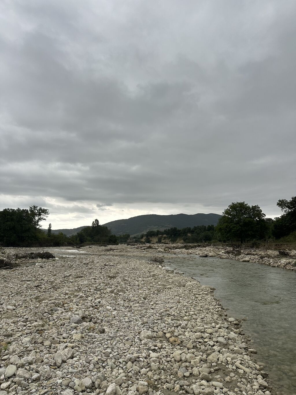 28 sot, Biznes üçün, Mülkiyyətçi, Kupça (Çıxarış)