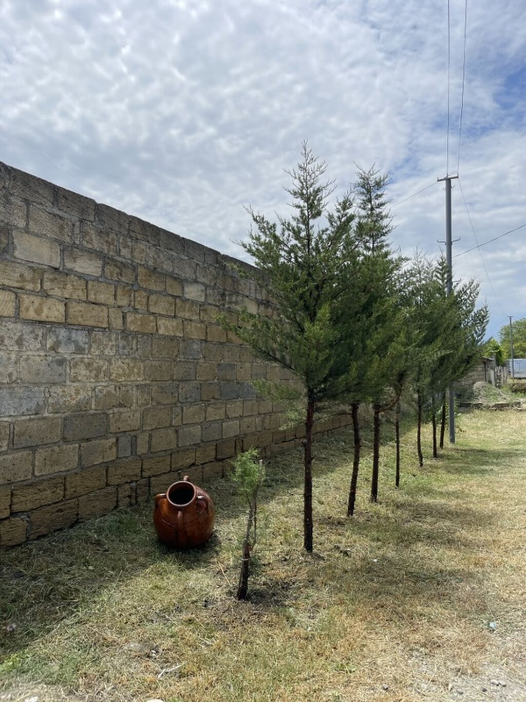 Kənd təsərrüfatı, Makler, Kupça (Çıxarış)