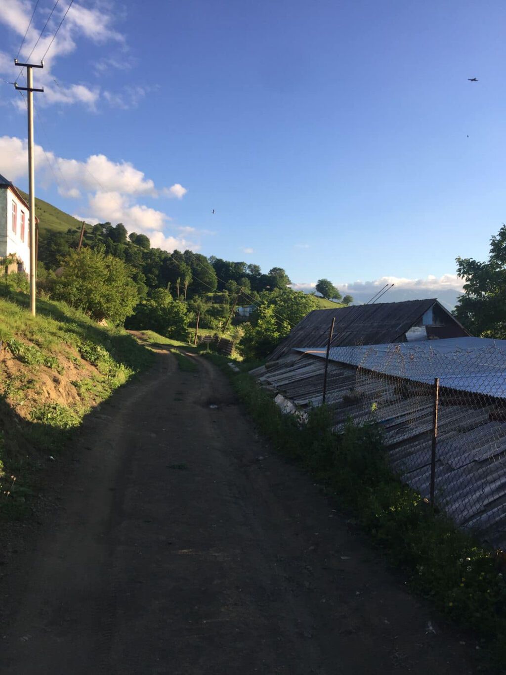 10 sot, Tikinti, Mülkiyyətçi, Kupça (Çıxarış)