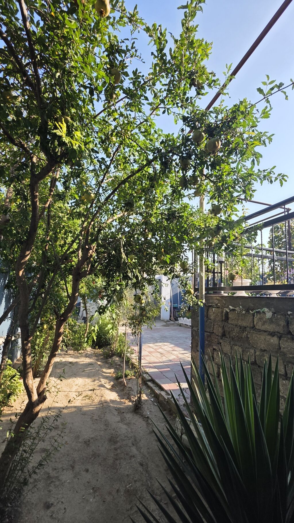 5 otaqlı, 145 kv. m, Kredit yoxdur, Yeni təmirli