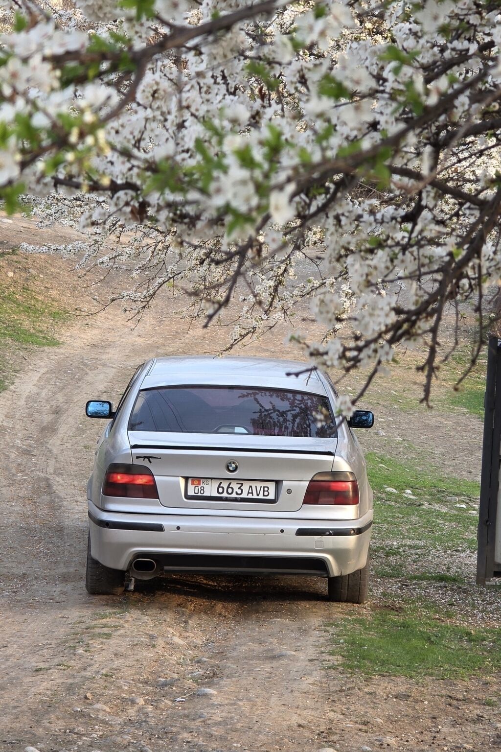 BMW 5 series: 1999 г., 2.5 л, Типтроник, Бензин, Седан: фото 4