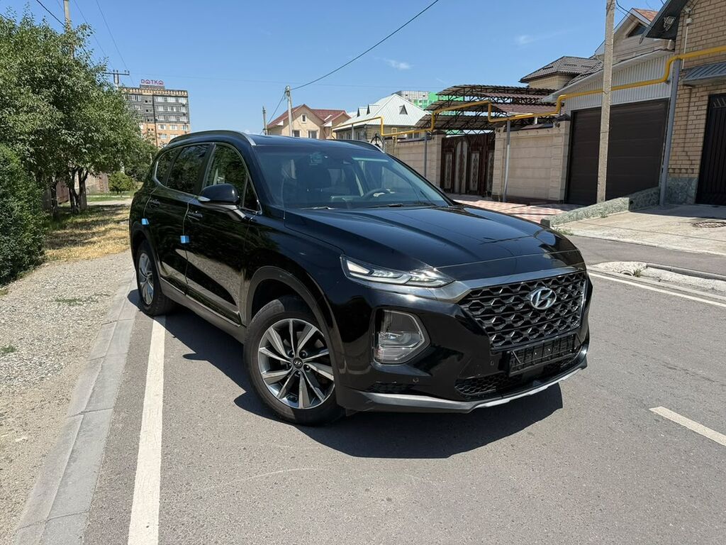 Hyundai Santa Fe: 2019 г., 2.2 л, Автомат, Дизель, Кроссовер: фото 2