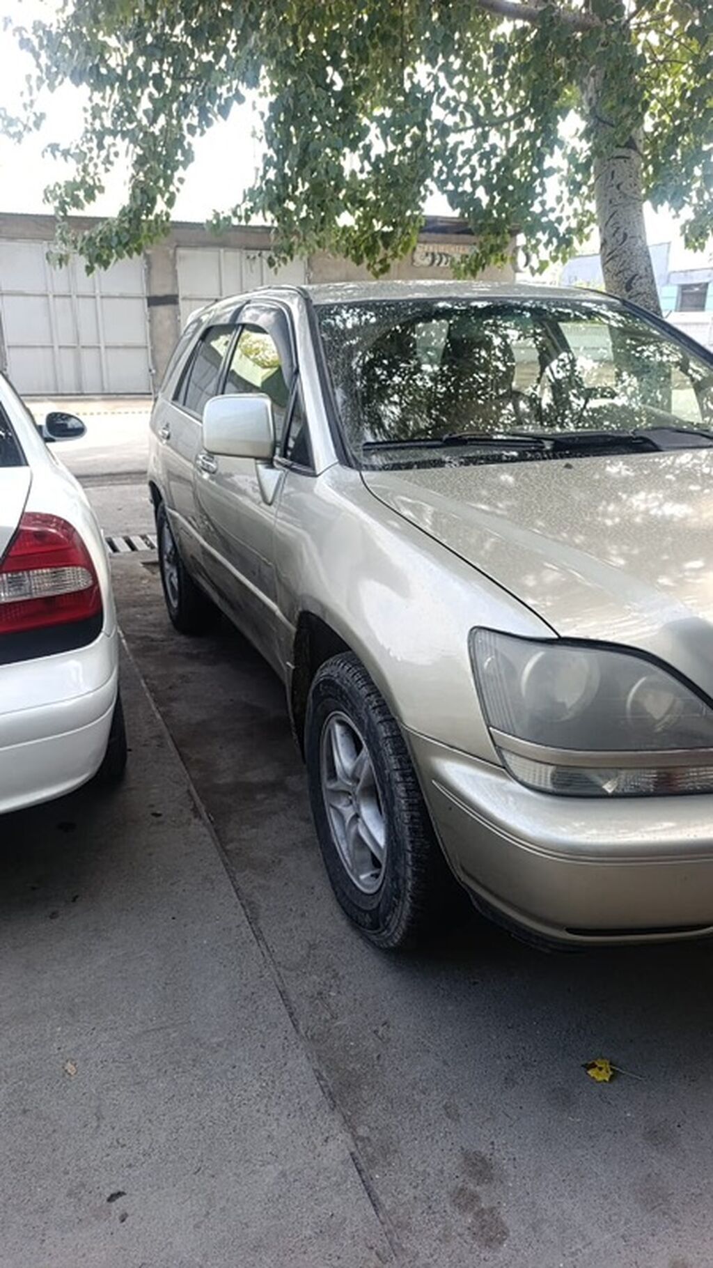 Lexus RX: 2000 г., 3 л, Автомат, Бензин, Кроссовер: фото 3