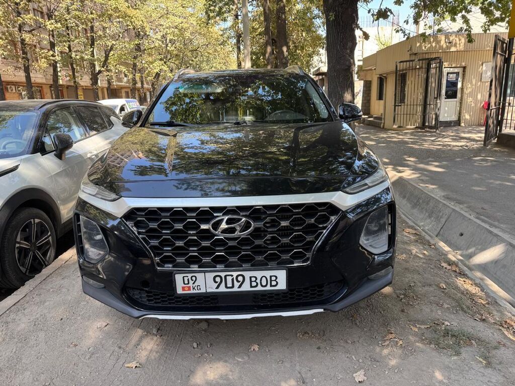 Hyundai Santa Fe: 2019 г., 2 л, Автомат, Бензин, Кроссовер: фото 1