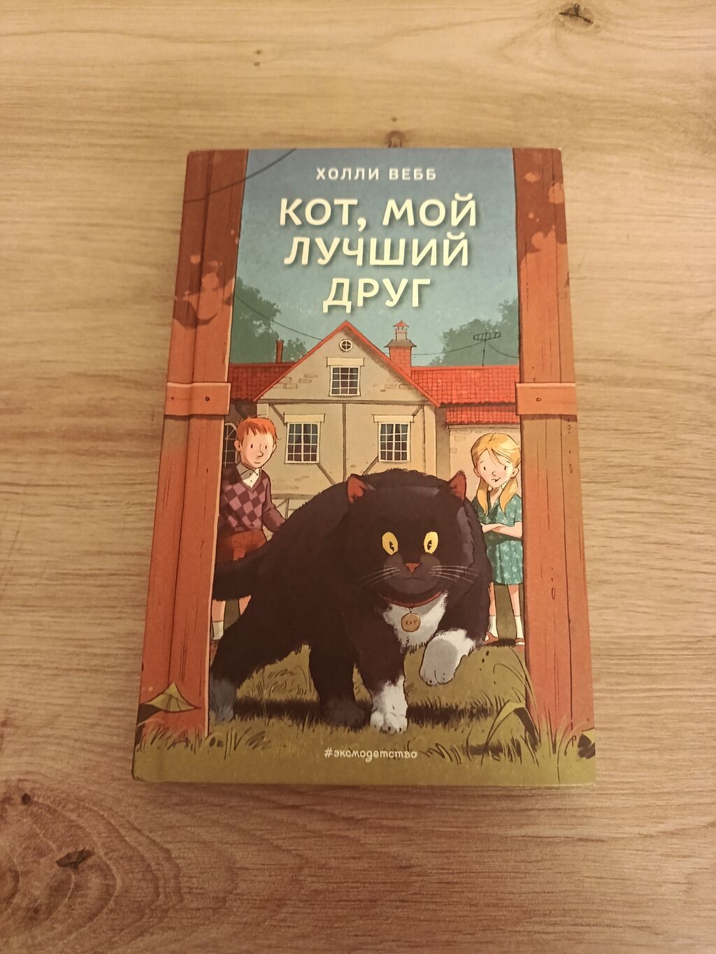 Детская книга Холли Вебб «Кот, мой лучший друг»: фото 1