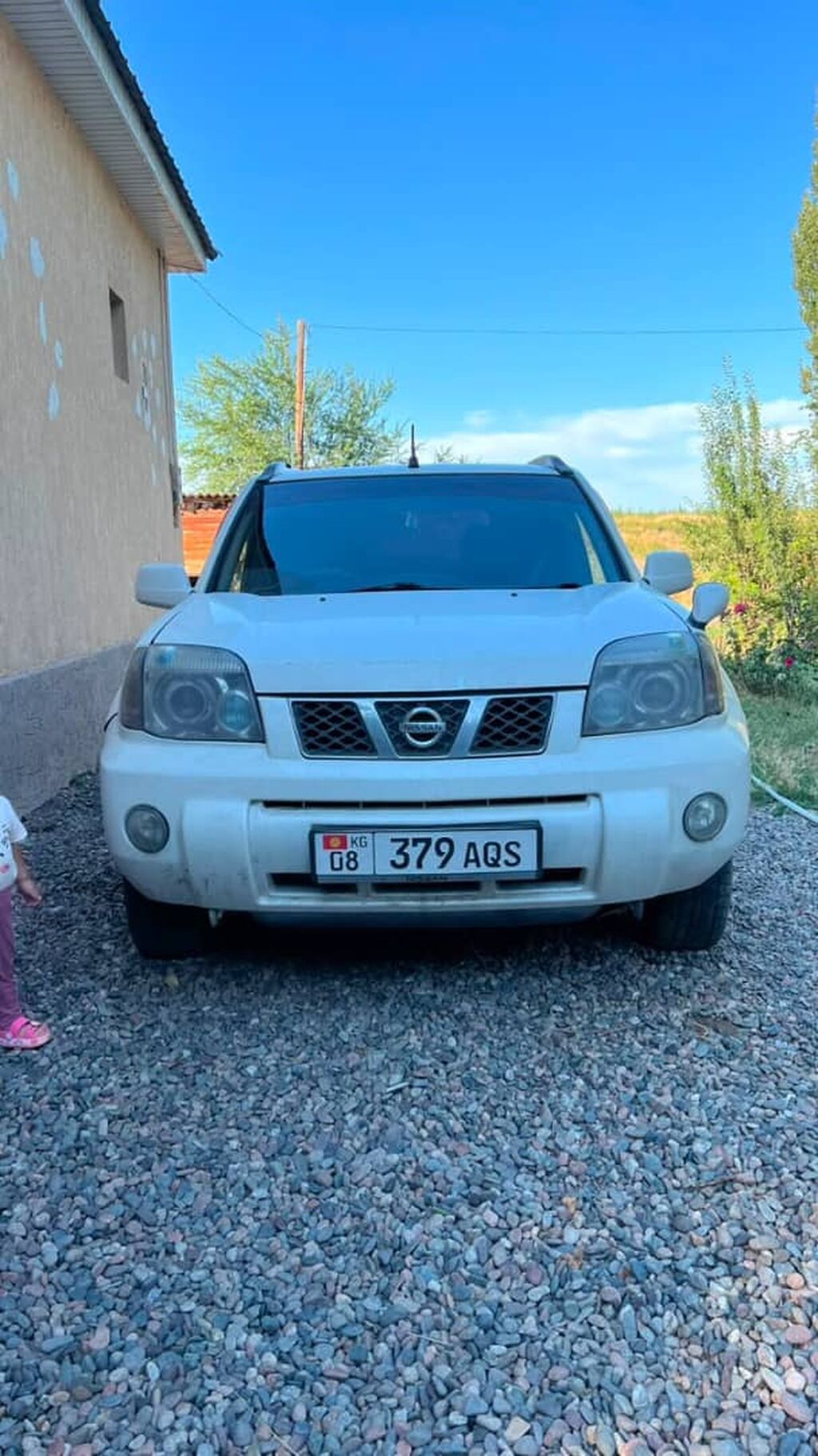 Nissan Terrano: 2002 г., 2 л, Бензин, Кроссовер: фото 1