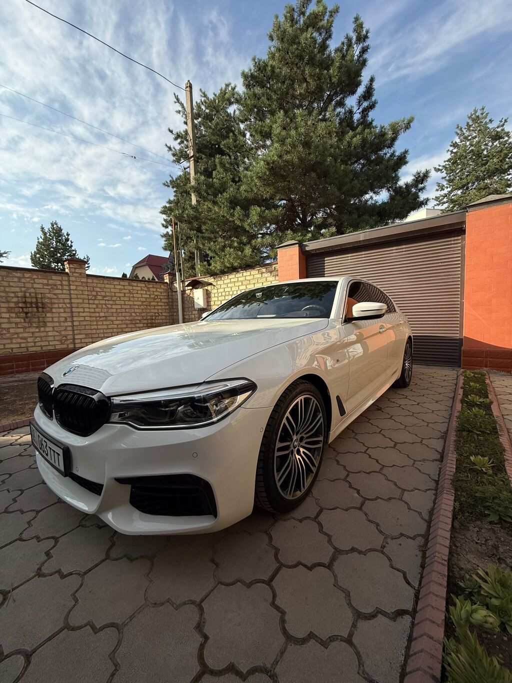 BMW 530: 2019 г., 2 л, Автомат, Бензин: фото 4