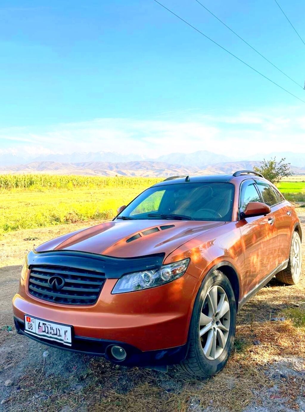 Infiniti FX45: 2003 г., 4.5 л, Автомат, Бензин, Кроссовер: фото 1