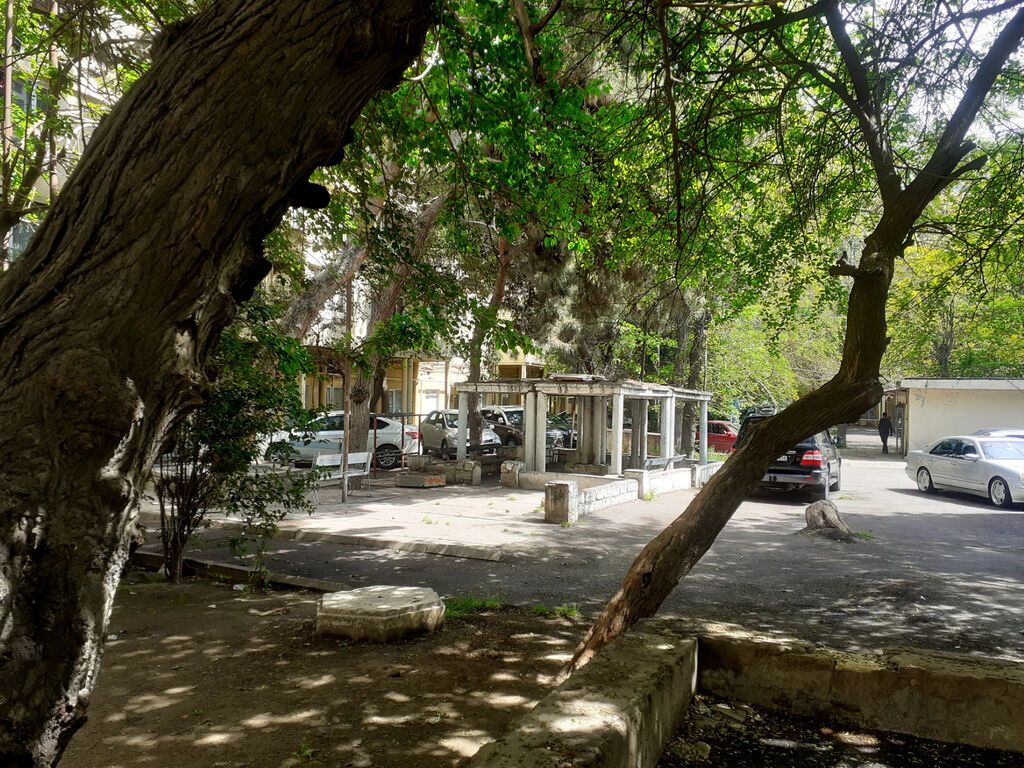 N.Nərimanov metroya 200 metrə arasında Cofemaniya restoranın üstündəki