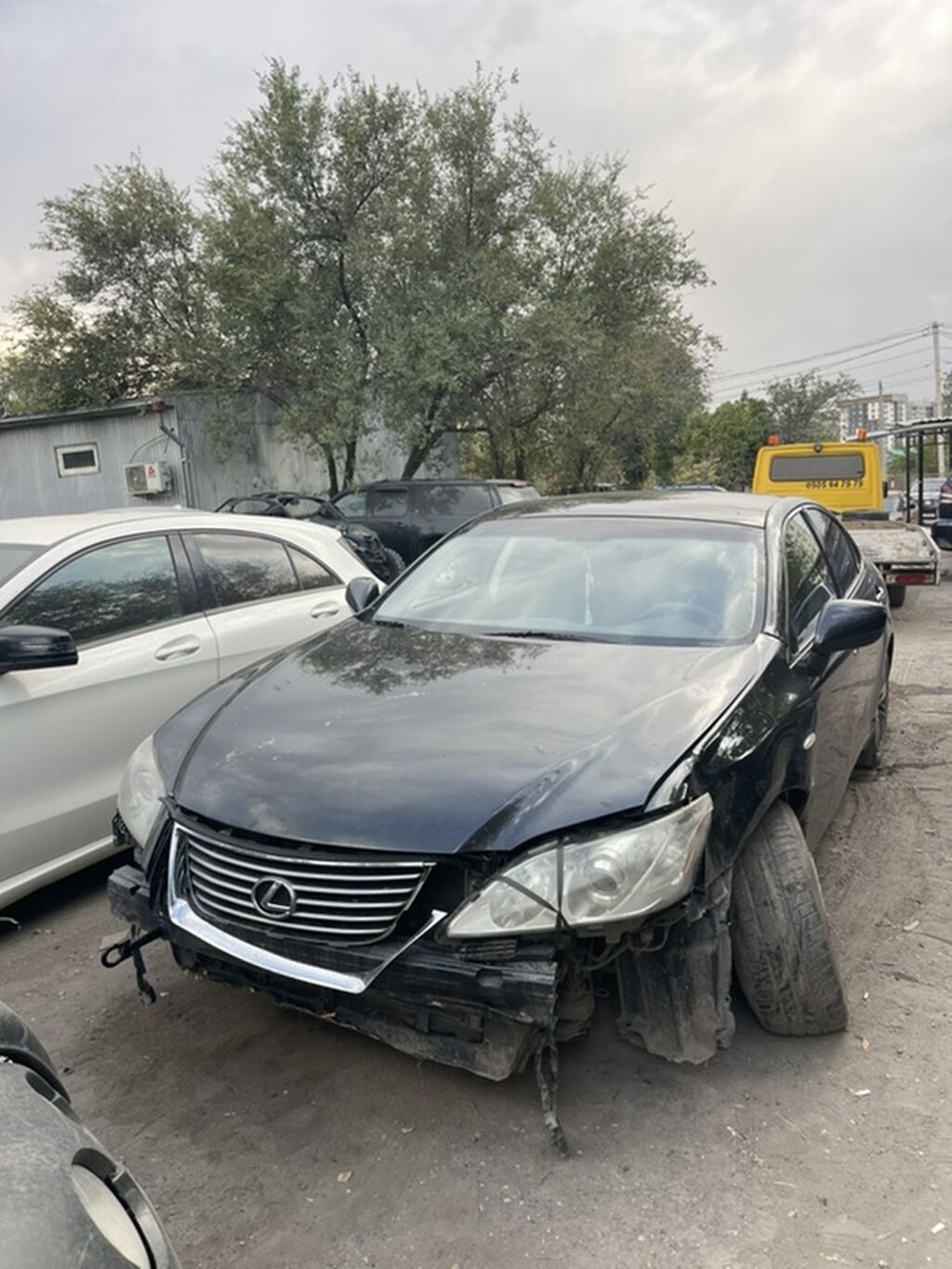 Lexus ES: 2009 г., 3.5 л, Автомат, Бензин, Седан: фото 6
