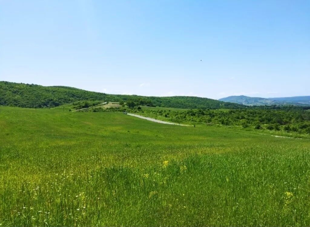 524 sot, Biznes üçün, Barter mümkündür, Kupça (Çıxarış)