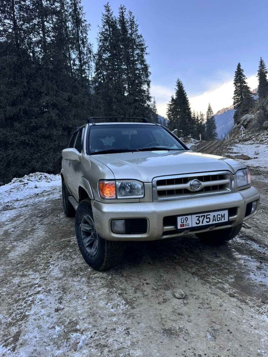 Nissan Pathfinder: 2001 г., 3.5 л, Автомат, Бензин, Внедорожник: фото 3