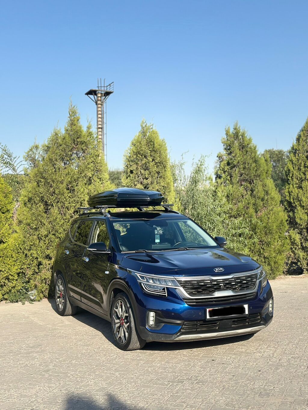 Kia Seltos: 2019 г., 1.6 л, Автомат, Бензин, Кроссовер: фото 4