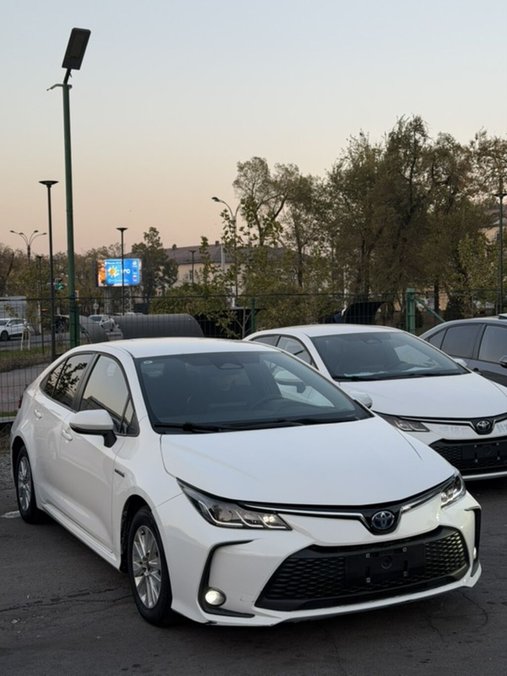 Toyota Corolla: 2023 г., 1.8 л, Вариатор, Гибрид, Седан: фото 2