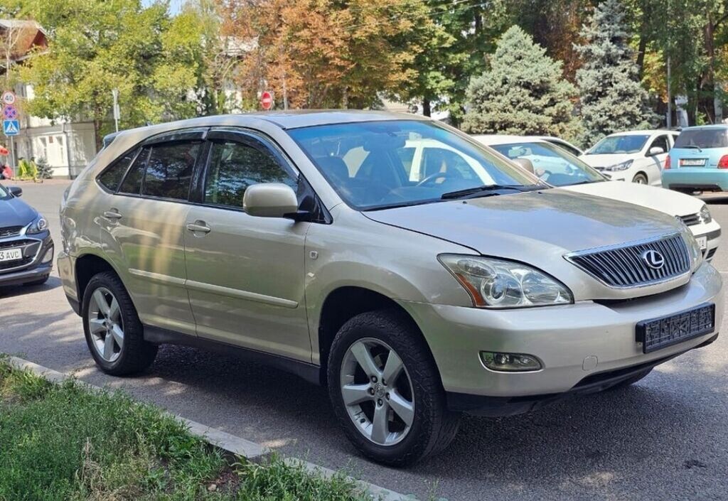Lexus RX: 2004 г., 3 л, Автомат, Бензин, Кроссовер: фото 4
