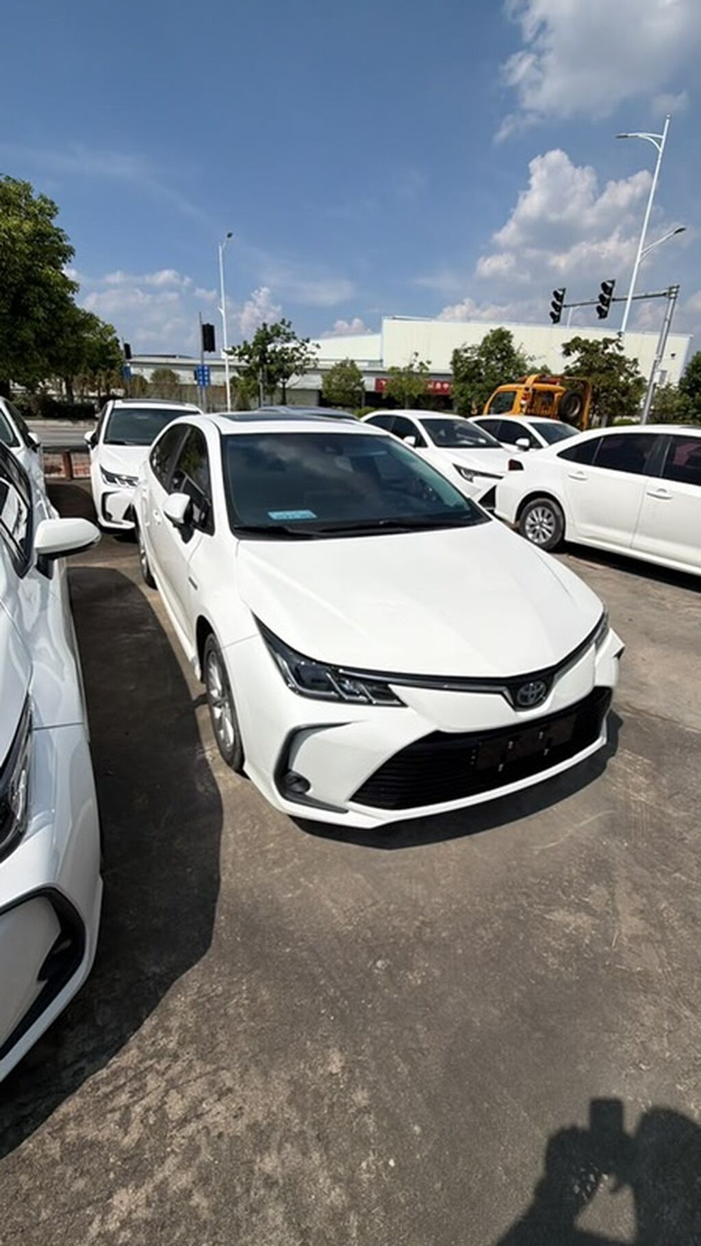 Toyota Corolla: 2021 г., 1.8 л, Автомат, Гибрид, Седан: фото 2
