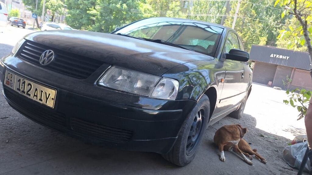 Volkswagen Passat: 1997 г., 1.6 л, Механика, Бензин, Седан: фото 6