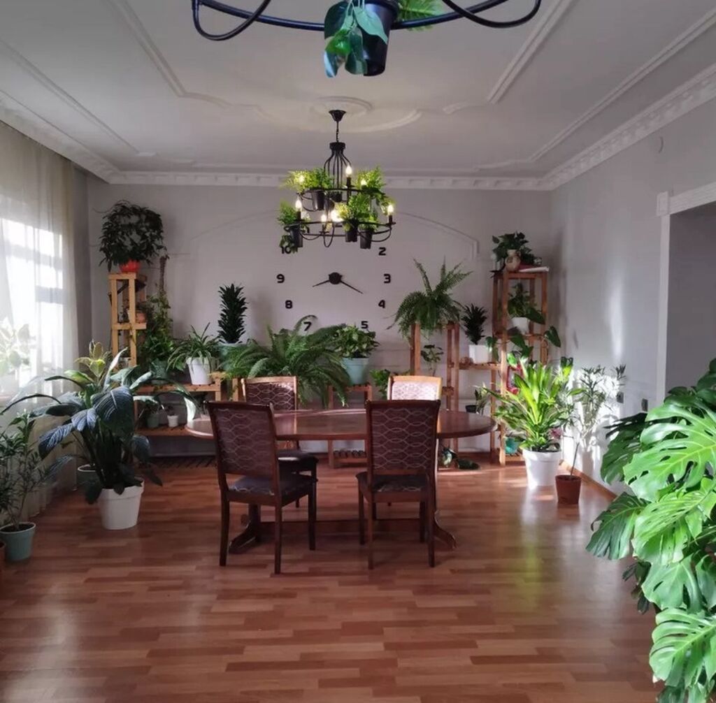 4 комнаты, 159 м², 6 соток, Бишкек, Рынок Баят/Азиз Собственник: фото 2