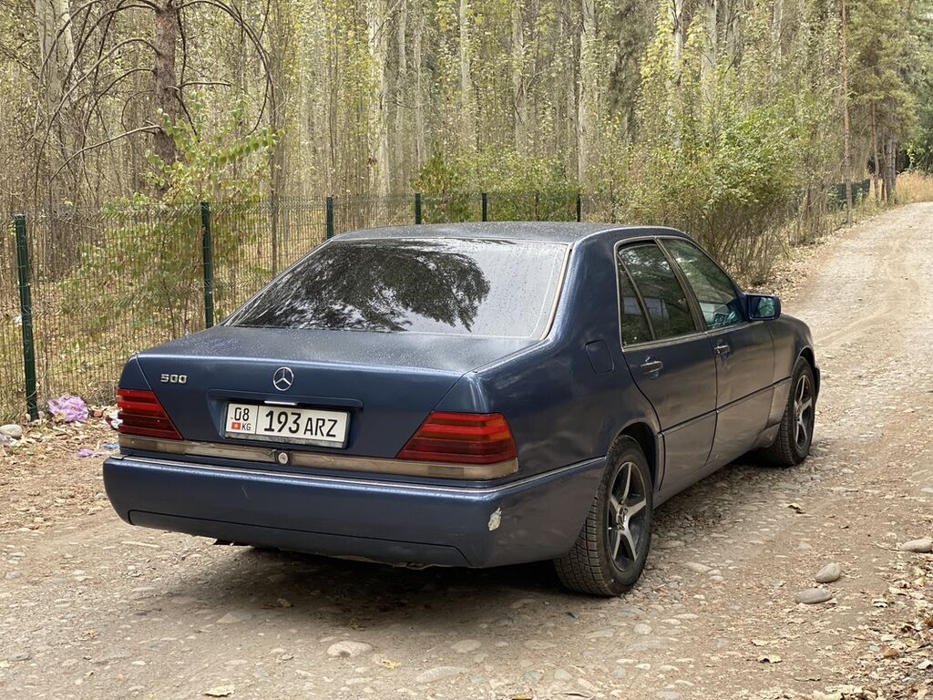 Mercedes-Benz S-Class: 1992 г., 3 л, Автомат, Дизель, Седан: фото 3