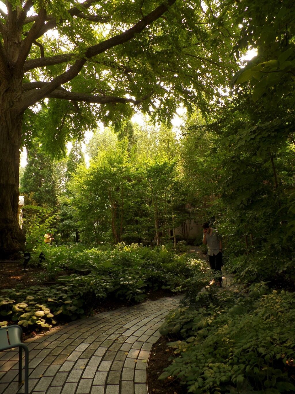 Компактный самсунг wb800f зуум до 105х сенсорный экран, можно: фото 6